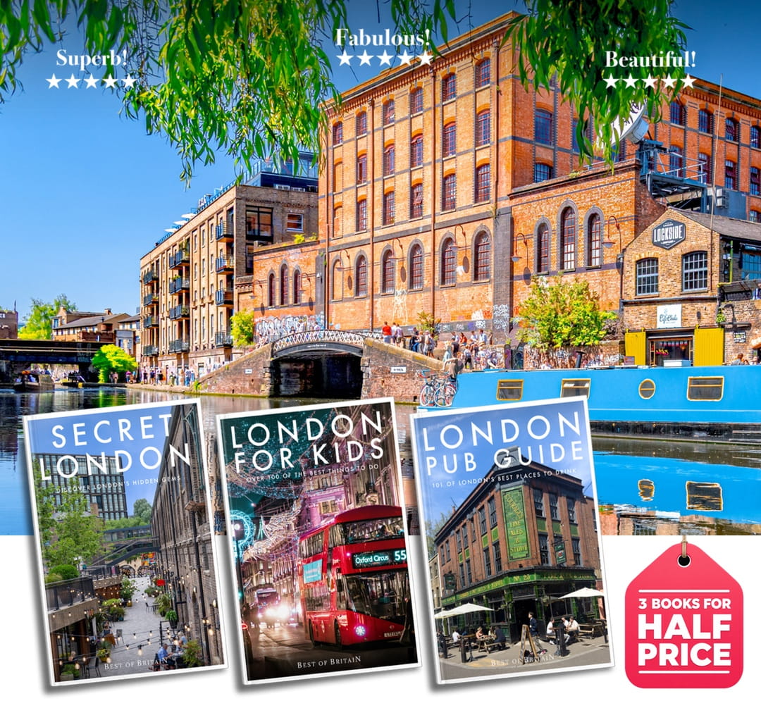 Summer Book Bundle